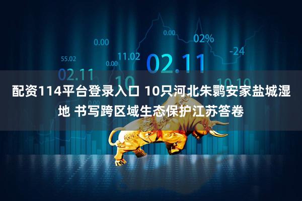 配资114平台登录入口 10只河北朱鹮安家盐城湿地 书写跨区域生态保护江苏答卷