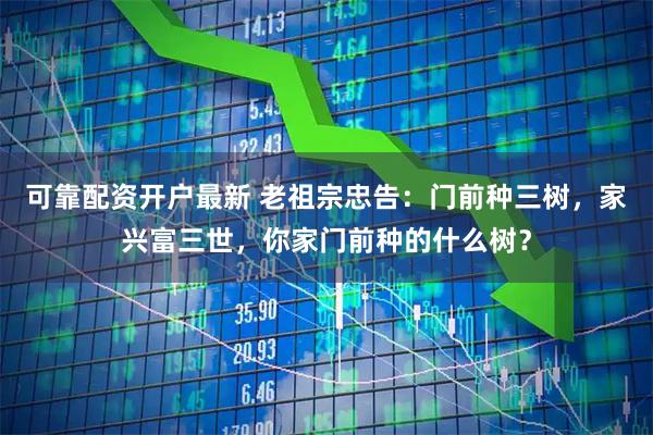 可靠配资开户最新 老祖宗忠告：门前种三树，家兴富三世，你家门前种的什么树？